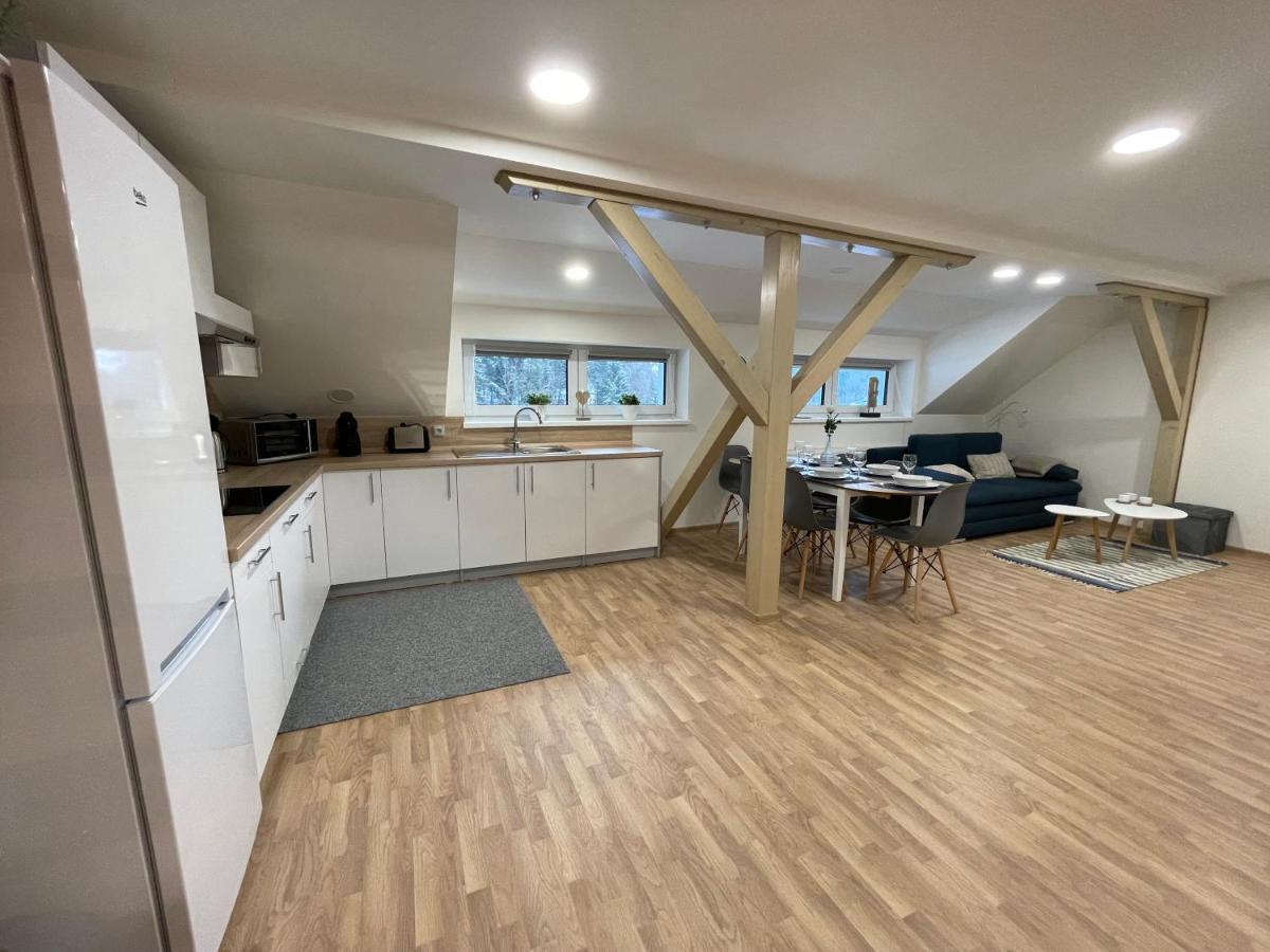 Apartmany Herc Jáchymov Eksteriør billede