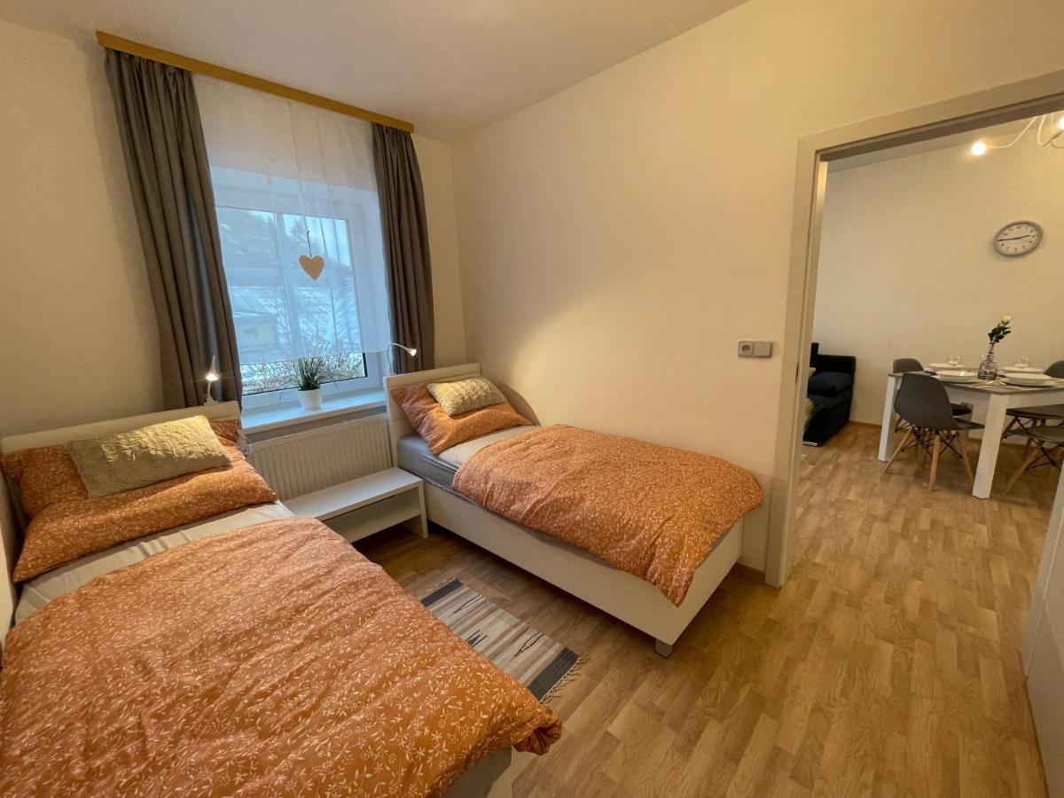 Apartmany Herc Jáchymov Eksteriør billede